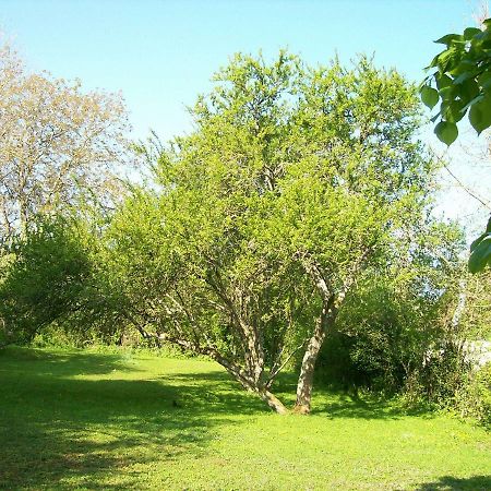 Chez Scallan B&B Sens sur Seille Dış mekan fotoğraf